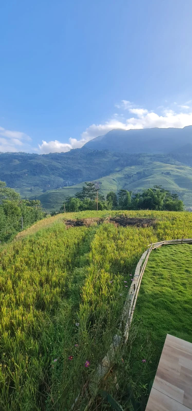 Rice terraces in northern Vietnam seen from a wooden deck in the morning